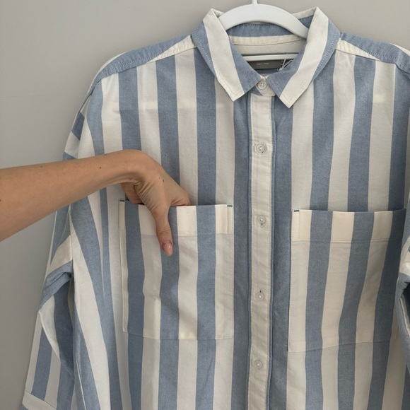 NWT Everlane Organic Cotton The Boxy Oxford Button Down Striped Oversized Shirt - Picture 7 of 16